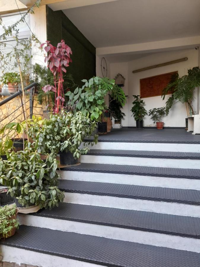 Kristi Apartments 03 Тирана Экстерьер фото